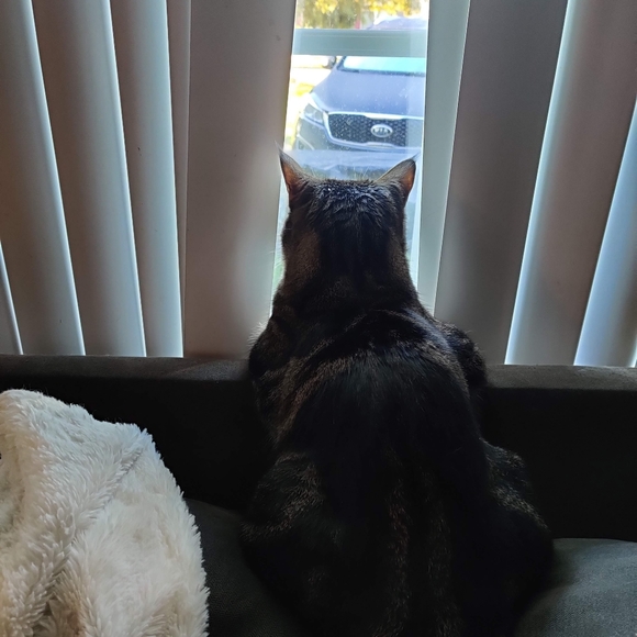 Meet your Posher, Maggie - Picture 16 of 16